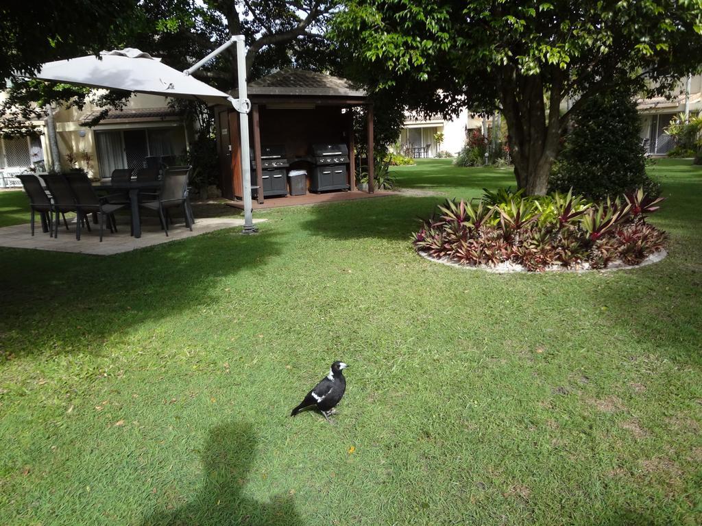 Noosa Gardens Riverside Resort Нусавил Стая снимка